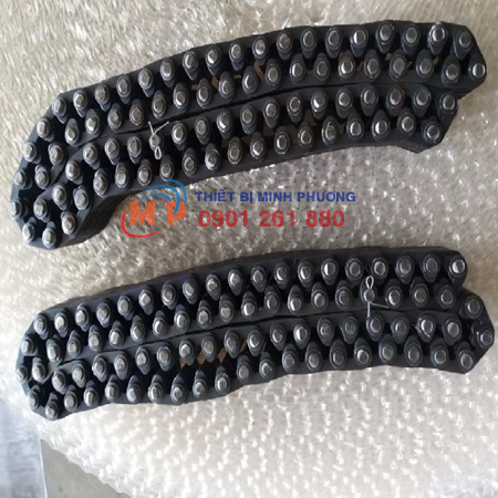 SÊN BÁNH RĂNG LY HỢP